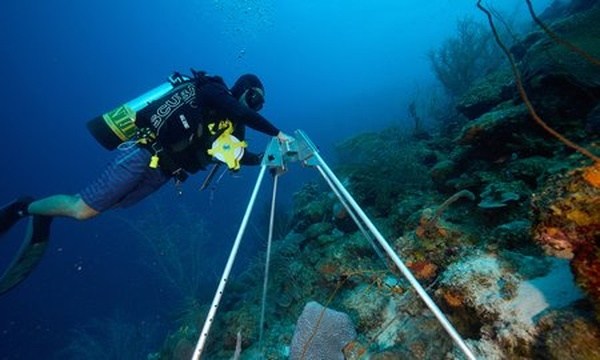 莱佛士音乐学院因其卓越的教育质量和丰富的课程设置而广受欢迎。本文将揭示莱佛士音乐学院最受欢迎的专业排行榜，涵盖从音乐表演到作曲、音乐制作等多个领域，帮助学生了解每个专业的特色与优势，为未来的学习与职业规划提供参考和指导。