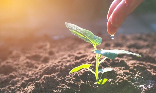 一线揭秘:新加坡莱佛士音乐学院师资力量介绍