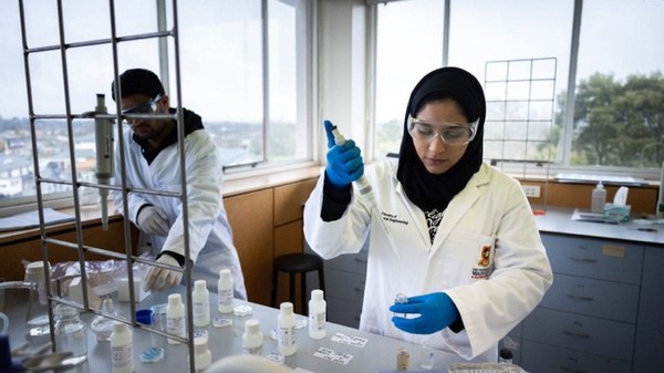 新加坡莱佛士音乐学院硕士课程揭秘：专业设置与优势