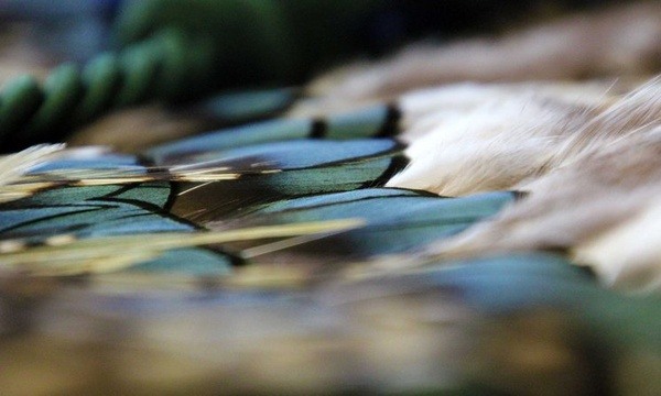 实用指南:莱佛士音乐学院课程设置及专业选择建议